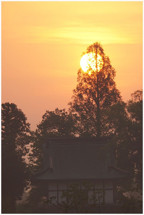 月と寺